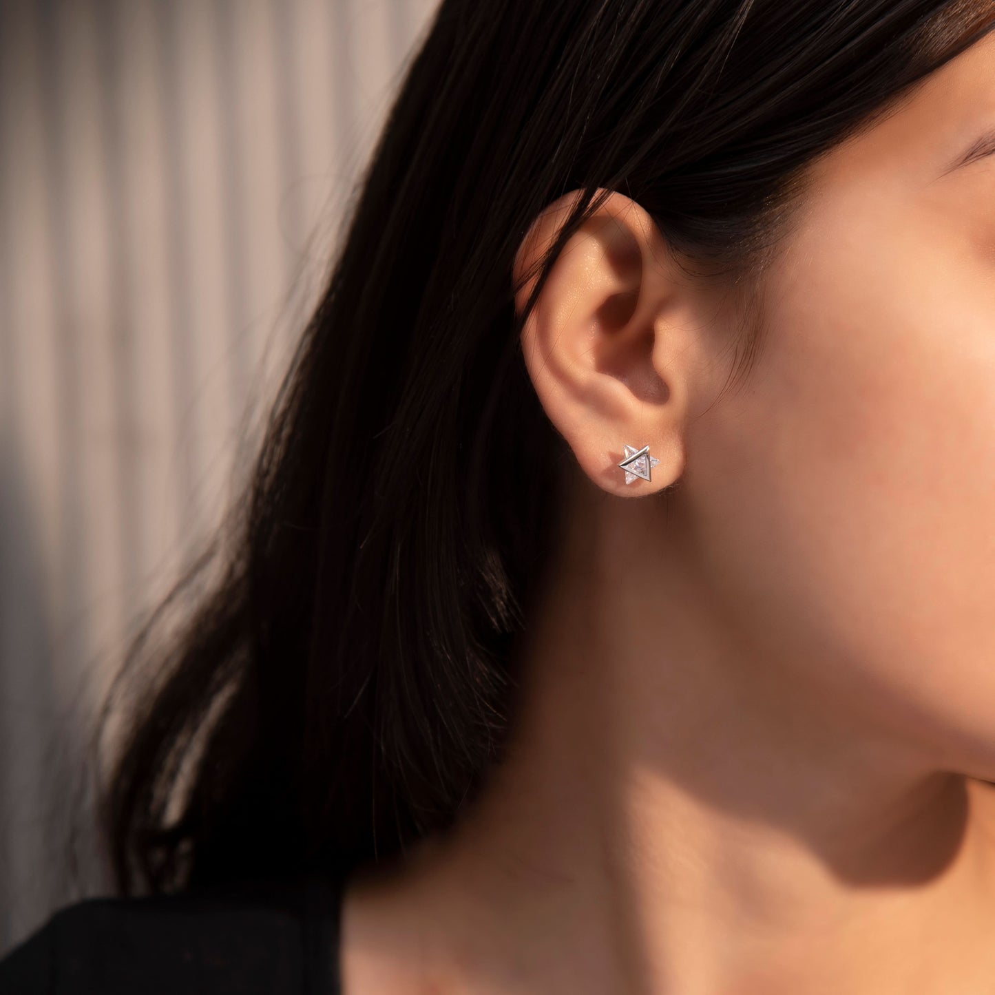 Silver Diamond Shine Studs